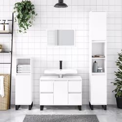 VidaXL 831566 miroir de salle de bain et armoire de rangement pour évier