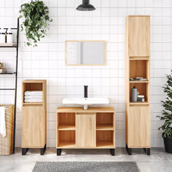 VidaXL 831631 miroir de salle de bain et armoire de rangement pour évier