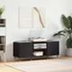 vidaXL Armoire à disques noir 121x38x48 cm bois d'ingénierie