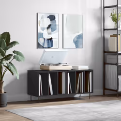 Rangez et exposez vos disques vinyles avec ce meuble à disques pratique et classique. Matériau durable : le bois d'ingénierie ...