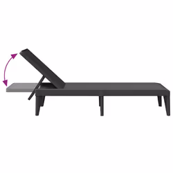 VidaXL 364219 chaise d'extérieur Linge Polypropylène (PP) Anthracite - Vue supplémentaire 7