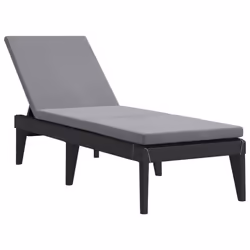 VidaXL 364223, Linge, Siège rembourré, Polypropylène (PP), Anthracite, Polyester, 110 kg