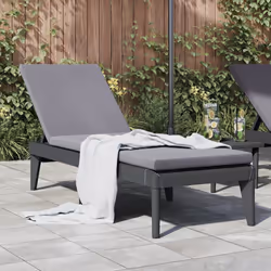 VidaXL 364223 chaise d'extérieur Linge Siège rembourré Polypropylène (PP) Anthracite