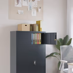 Ce classeur, au design simple mais élégant, sera un excellent choix pour garder vos dossiers et autres fournitures de bureau  ...