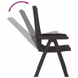 VidaXL 364712 chaise d'extérieur Terrace Polypropylène (PP) Anthracite - Vue supplémentaire 7