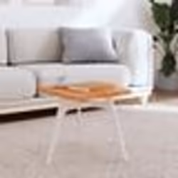 vidaXL Dessus de table 40x40x2,5 cm carré bois massif de hêtre