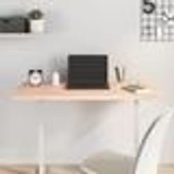 vidaXL Dessus de bureau 100x50x2,5 cm bois massif de hêtre