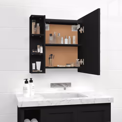 VidaXL 833536 miroir de salle de bain et armoire de rangement pour évier
