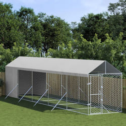 Vidaxl - Chenil d'extérieur pour chiens avec toit argenté 2x10x2,5 m