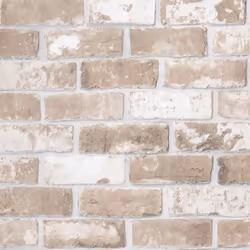 Transformez votre mur nu en fonctionnalité de design et créez un régal visuel dans votre maison avec le papier peint ! Il cac ...
