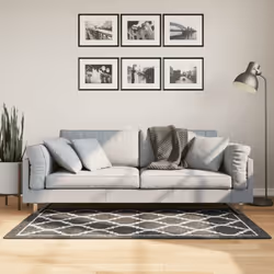 Créez une ambiance chaleureuse dans votre maison avec ce tapis distinctif ! C'est le choix parfait pour décorer votre pièce t ...