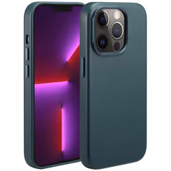 Accezz SH00067683, Apple, iPhone 13 Pro, Vert