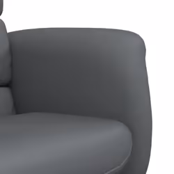 VidaXL 356723 fauteuil - Vue supplémentaire 7