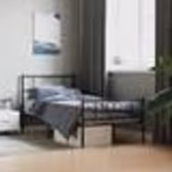 vidaXL Cadre de lit métal sans matelas et pied de lit noir 100x200 cm - 100 x 200 cm