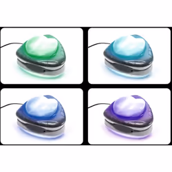 Cette applique murale de piscine à LED magnétique 28698 de la marque Intex apportera une excellente luminosité à votre piscin ...