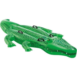 Alligator géant à chevaucher 203x114 cm INTEX