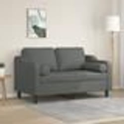 vidaXL Canapé 2 places avec oreillers gris foncé 120 cm tissu