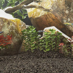 Vidaxl - Roches volcaniques 10 kg noir 1-2 cm