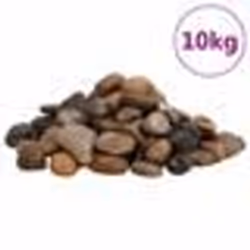 vidaXL Galets polis 10 kg multicolores 2-5 cm