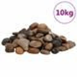 vidaXL Galets polis 10 kg multicolores 2-5 cm