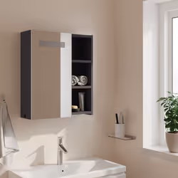VidaXL 357966 miroir de salle de bain et armoire de rangement pour évier