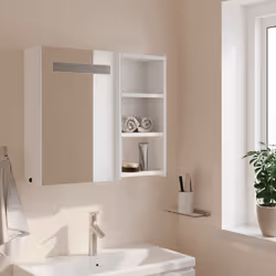VidaXL 357969 miroir de salle de bain et armoire de rangement pour évier