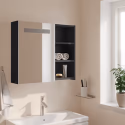 VidaXL 357970 miroir de salle de bain et armoire de rangement pour évier