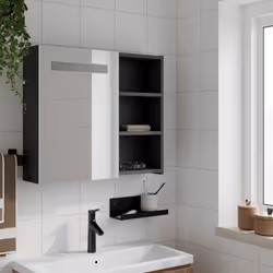 VidaXL 357971 miroir de salle de bain et armoire de rangement pour évier