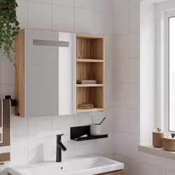VidaXL 357972 miroir de salle de bain et armoire de rangement pour évier