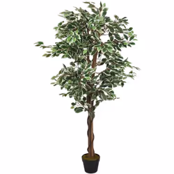 Ce ficus artificiel sera un choix parfait pour décorer votre entrée, salon ou bureau. Aspect réaliste : le ficus artificiel a ...