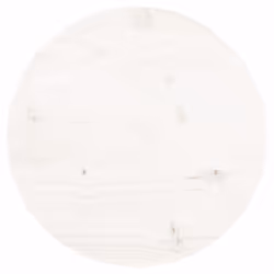 VidaXL 833656, Bois, Blanc, Rond, Intérieure, 300 mm