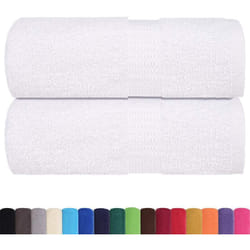 Serviettes d'invité 2 pcs blanc 30x50 cm 360 g/m² 100% coton Vidaxl