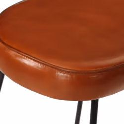 VidaXL 358922 Tabouret de bar - Vue supplémentaire 7