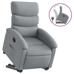 VidaXL 3203978 fauteuil