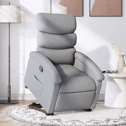 VidaXL 3203978 fauteuil