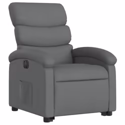 VidaXL 3203979 fauteuil