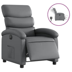 VidaXL 3204029 fauteuil