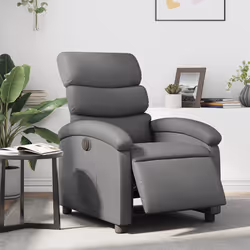 VidaXL 3204029 fauteuil