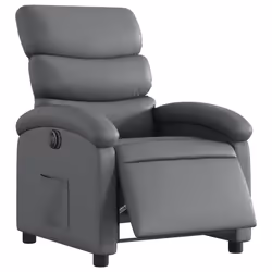 VidaXL 3204029 fauteuil