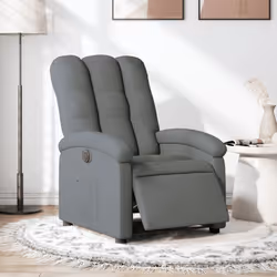 VidaXL 3204069 fauteuil