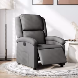 VidaXL 3204141 fauteuil