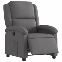 VidaXL 3204141 fauteuil