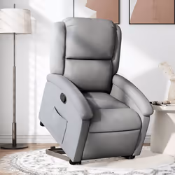 VidaXL 3204164 fauteuil
