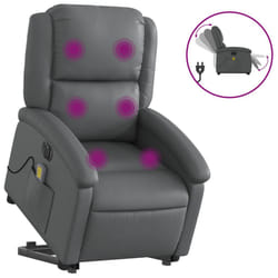 VidaXL 3204250 fauteuil