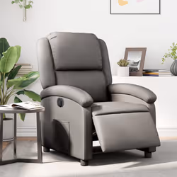 VidaXL 3204257 fauteuil
