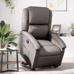 VidaXL 3204265 fauteuil
