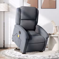 VidaXL 3204334 fauteuil