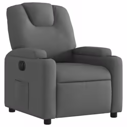 VidaXL 3204345 fauteuil