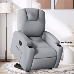 VidaXL 3204368 fauteuil