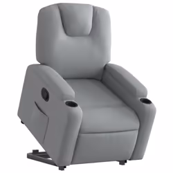 VidaXL 3204368 fauteuil